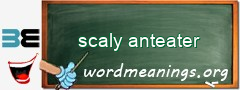 WordMeaning blackboard for scaly anteater